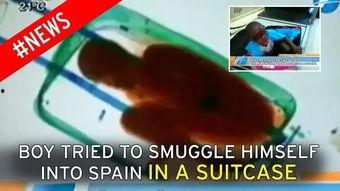 边境偷渡最新爆料视频,揭秘非法跨境活动内幕